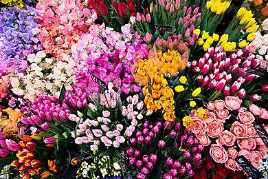 快节奏肉鸽FPS游戏《Abyssus》愿望单预告 2024年正式发售